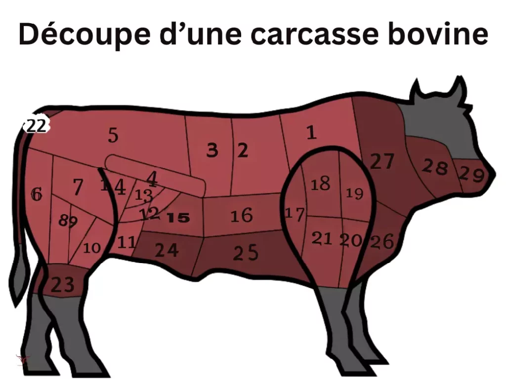 Schéma de la découpe du bœuf illustrant les différents morceaux à choisir pour chaque type de cuisson, comme le paleron pour mijoter ou le filet pour rôtir.