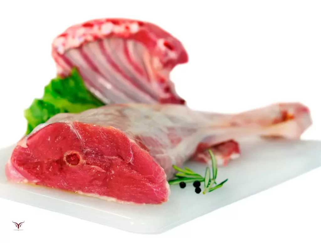 Guide pour choisir son agneau : sélection de différents morceaux crus incluant des côtelettes, une épaule et des cubes pour navarin.