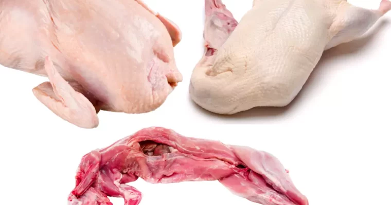 Le Guide Ultime de la Volaille : Poulet, Canard et Plus Encore