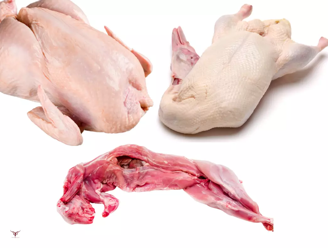 Le Guide Ultime de la Volaille : Poulet, Canard, Lapin et Plus Encore