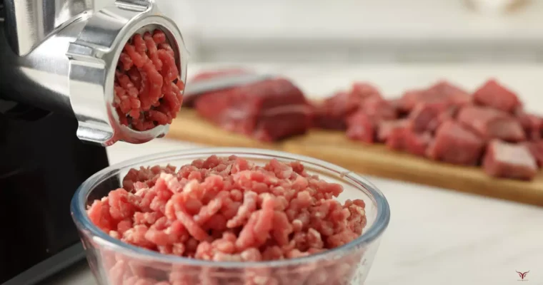 Meilleur Hachoir à Viande (2025) : Le Guide du Charcutier Amateur (Test Métal vs Plastique)